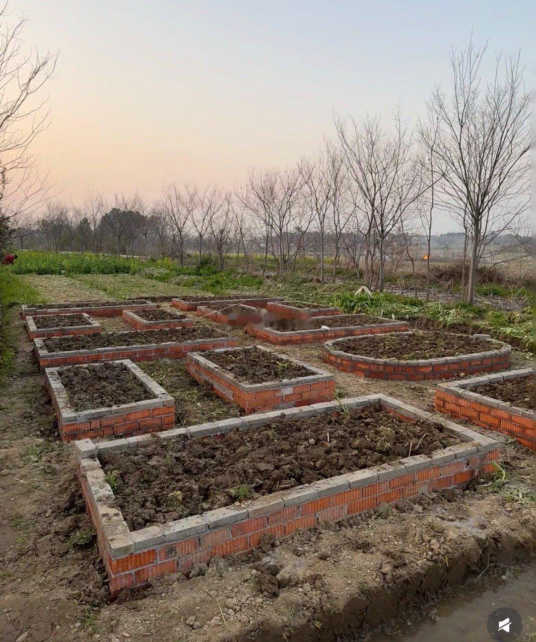 三千元改造的菜园，算翻车吗？