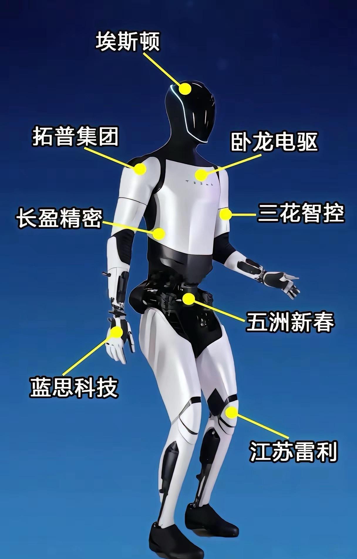 人形机器人“顶级朋友圈”浮出水面：这8家公司，卡住了特斯拉与国产链的关键命脉当人