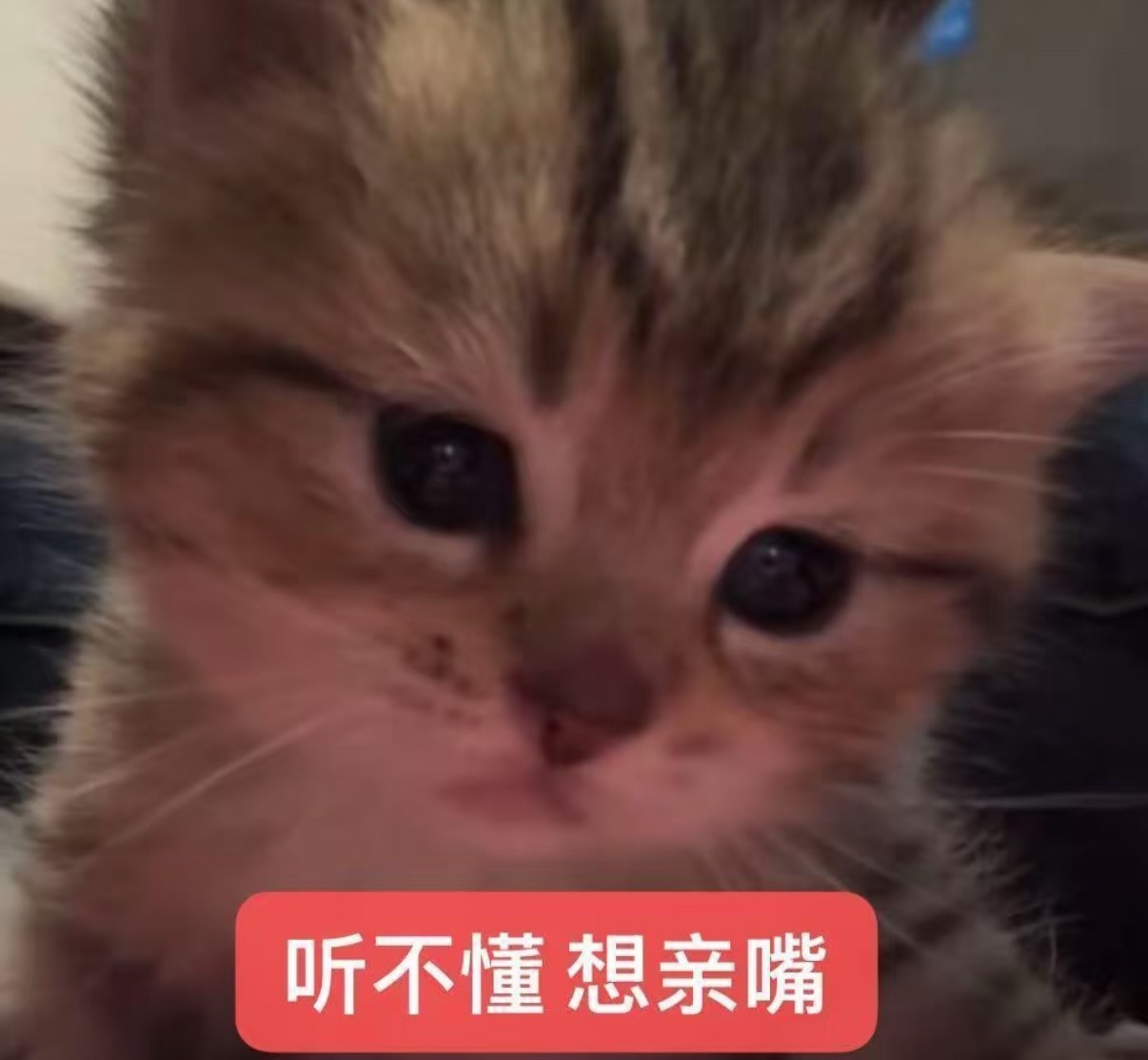 明天的我：