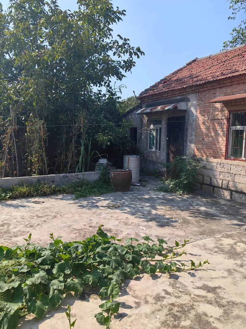 今天早上，二伯来我家吃饭，刚端起碗没扒拉几口，突然冒出一句话，把一桌子人都说愣了