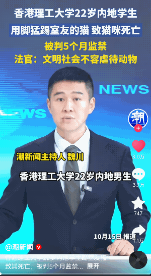 “太解气了！”香港，一就读于香港理工大学的22岁内地学生踢死了室友养的猫咪，被监