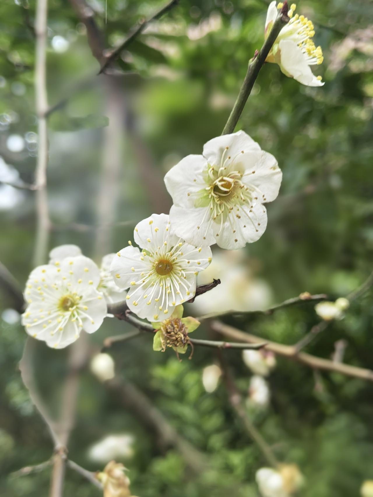 农村大龄男青年的地位真低！过年亲戚朋友一起打牌，舅妈要给姑妈家的表弟做媒。表弟9