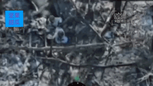 这就是乌军反击步兵，乌克兰前线，乌军一队步兵从装甲车皮卡下车后，迅速跑到了树林，