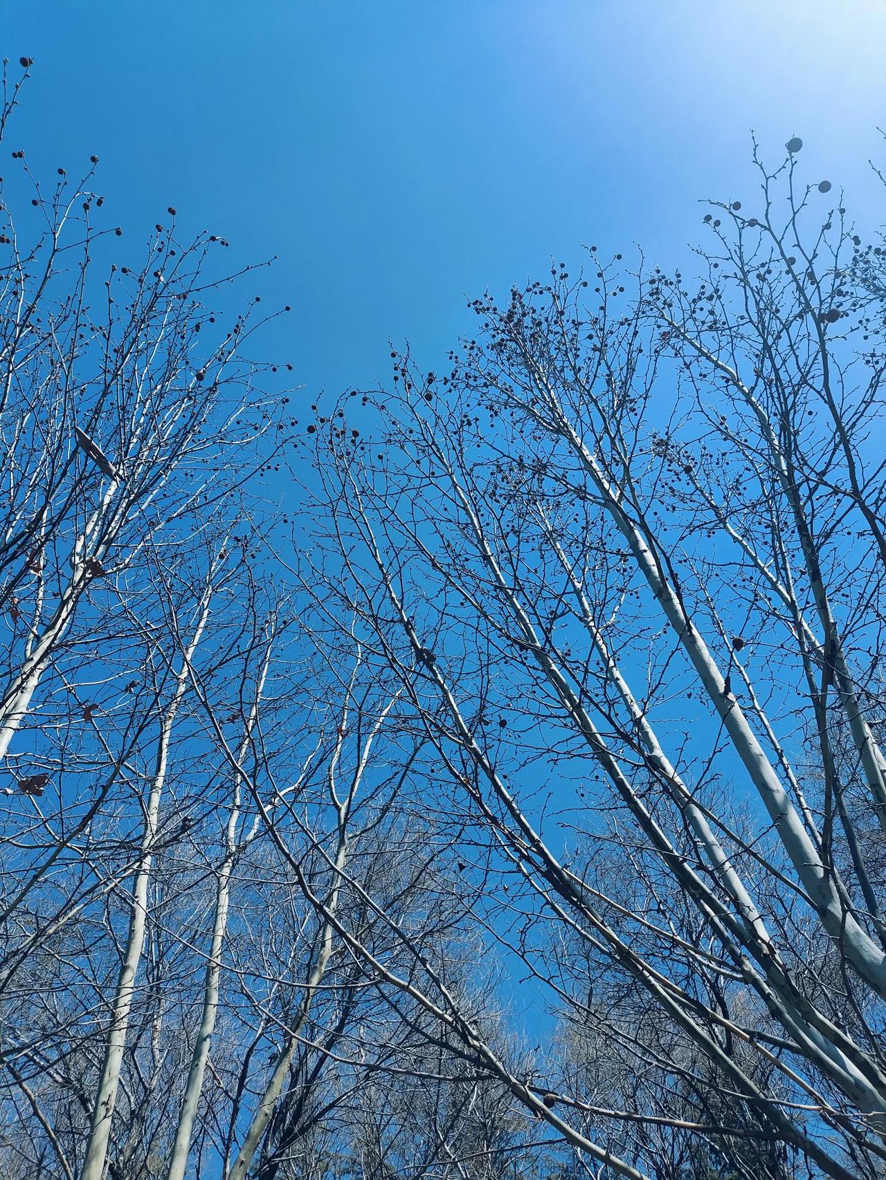 如果老师一辈子不评职称会怎么样？先说答案，会很爽。其实老师这个群体是很有上进