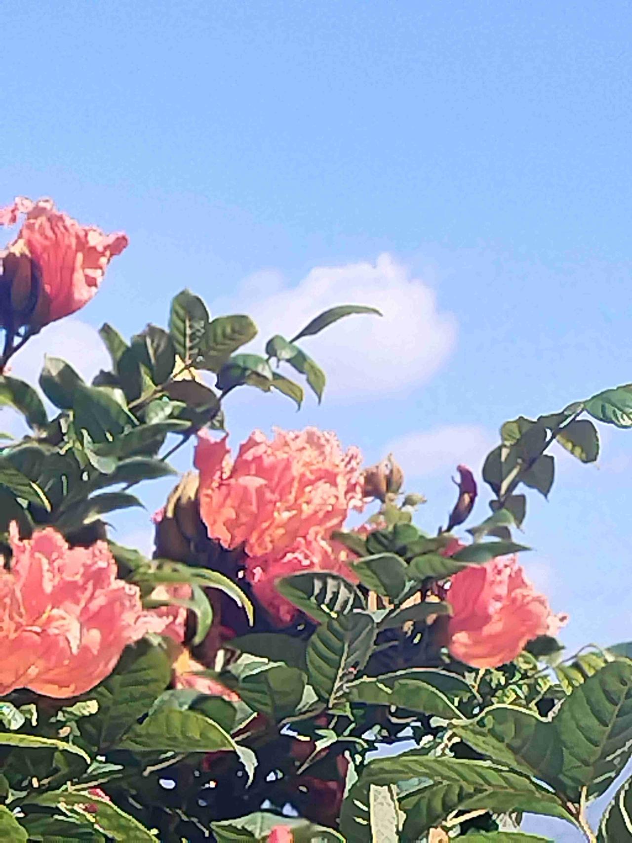 带定位晒今日生活带定位晒今日生活我今日状态：😁轻松又愉悦我这儿天气：☀