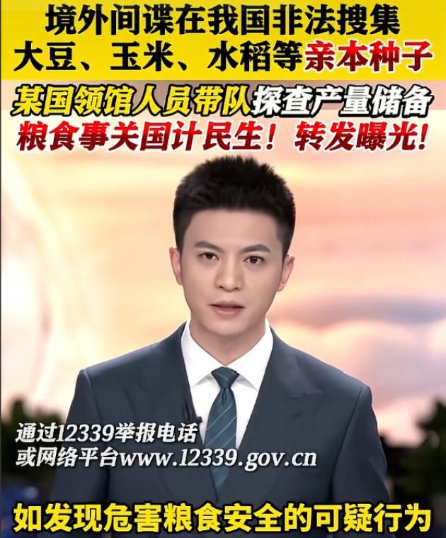 警惕！田间有间谍。他们在收集大豆、水稻、玉米等亲本种子进行搞破坏活动。粮食事