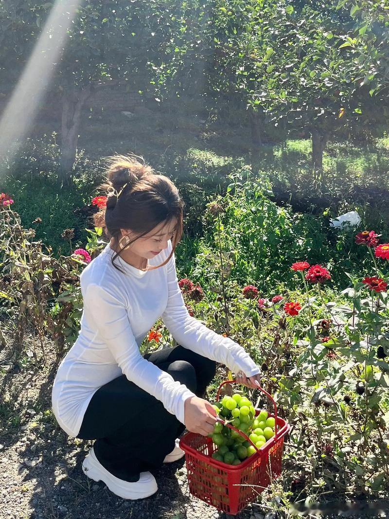 🐮1985年属牛人在2026年的运势大揭秘！🐂进入2026年马年，对于198