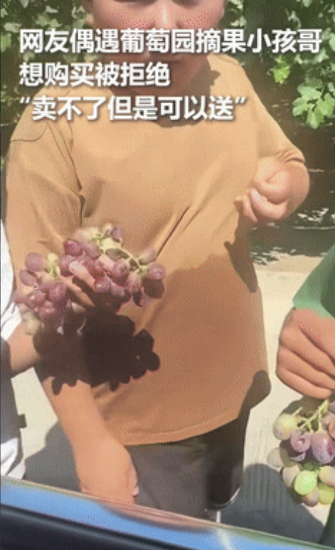 “新疆小孩哥火到人民日报了！”女子偶遇摘葡萄小孩哥，想花钱买却遭拒！不料，对方的