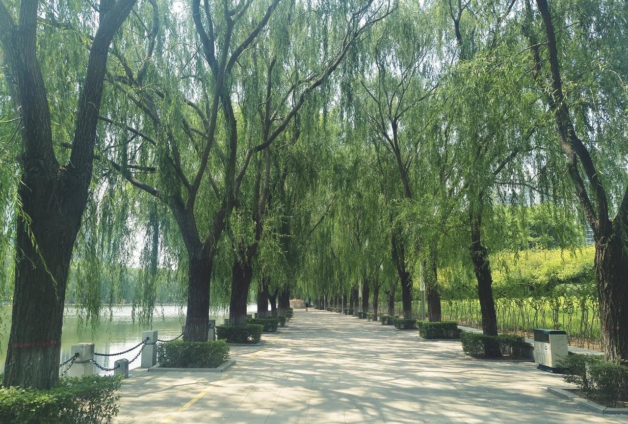 人到了60岁，老是担心死亡怎么办？我今年57岁，距离60岁还有3年，就开始恐惧
