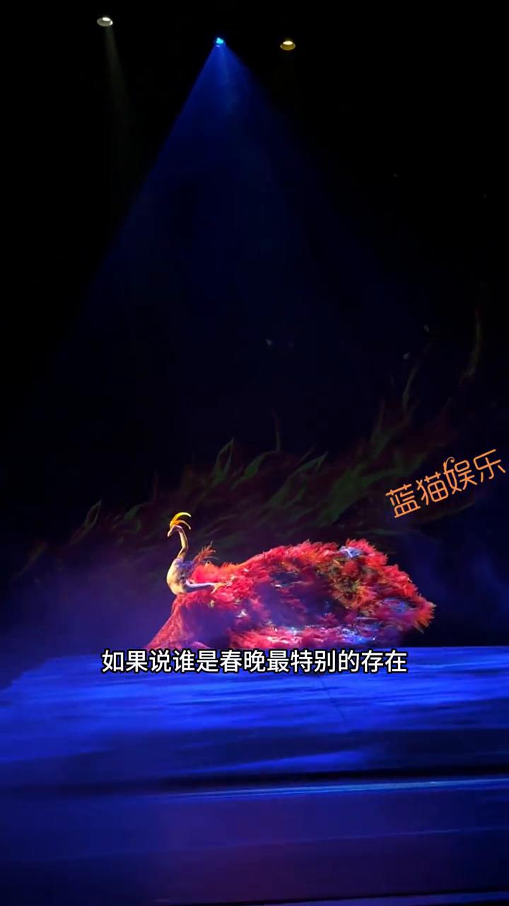春晚舞王。蓝猫娱乐。如果谁是春晚最特别的存在，那一定是杨丽萍。既登央视春晚的
