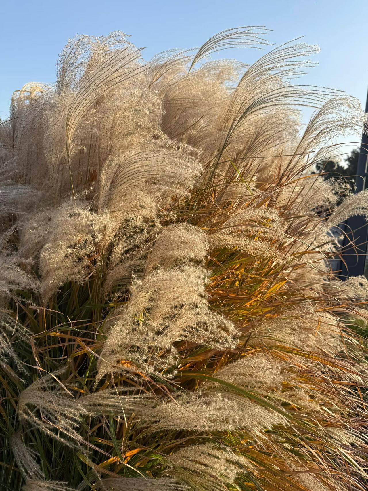 我家孩子感染甲流后高烧不退，我彻夜未眠，不断为他进行物理降温、测量体温。孩子吃什