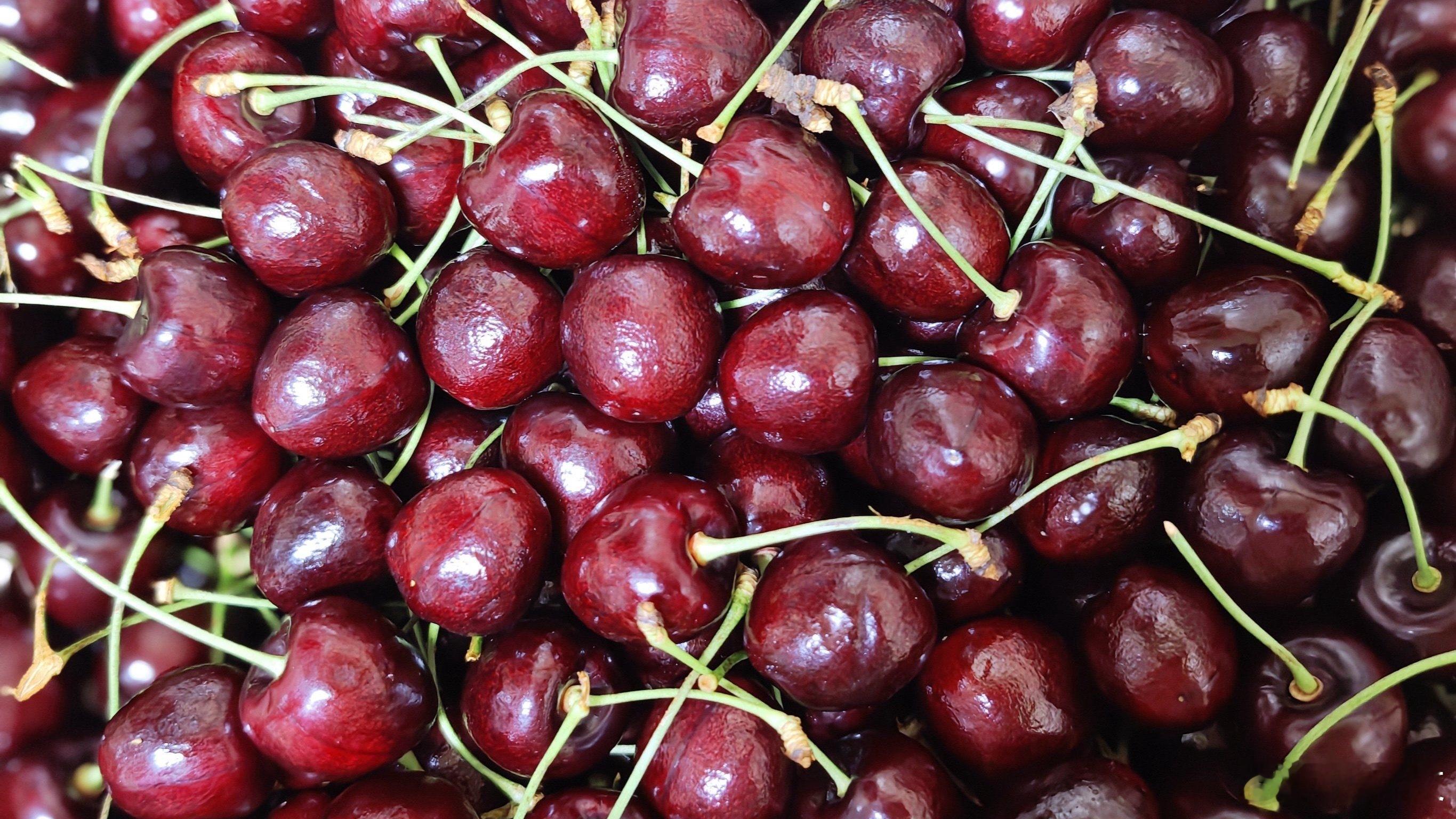 车厘子到达中国前一直在冬眠一年一度的车厘子大战打响啦！今年价格超给力，从六七十