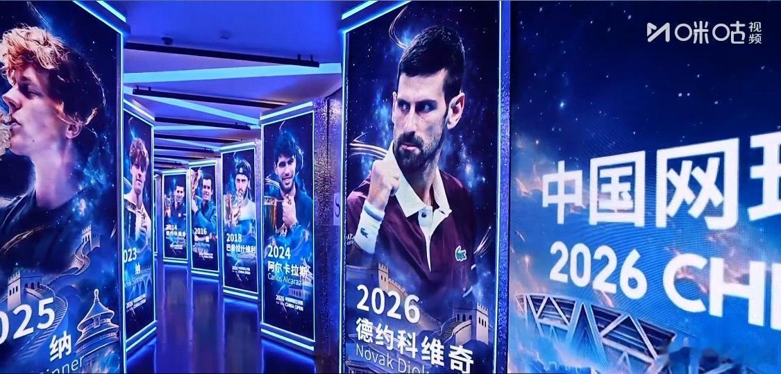 德约科维奇vs德米纳尔这就结束了？半决赛和决赛，德约科维奇赢的都有点戏剧性。不过