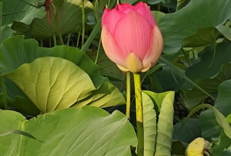 借给邻居10万，我们平时关系蛮好的，他说是周转用，说一个月内还，后来要了4年就说
