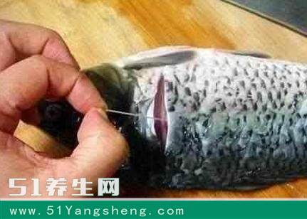 鱼身上有一“宝”, 能降压, 抗癌, 医生都在吃