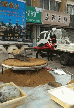 倒反天罡了这是