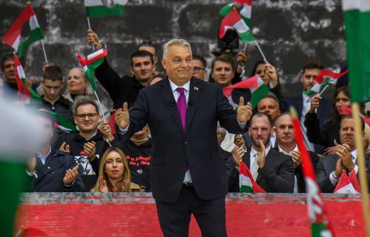 执政快15年的欧尔班总理,带着8万支持者搞“和平游行”,核心诉求特实在:“咱不掺