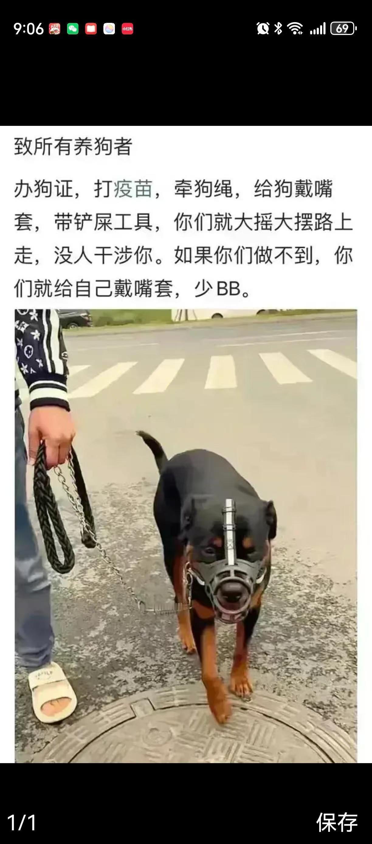 人不如狗系列之懦夫与狗！遛狗的时候如果按照规定拴绳、戴嘴套了，狗又怎么会被毒死？