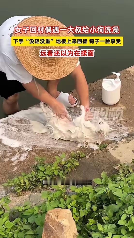 “笑不活了！”近日，广西，一女子回村，看见一名大叔手里拿着一个白色的东西，在地板