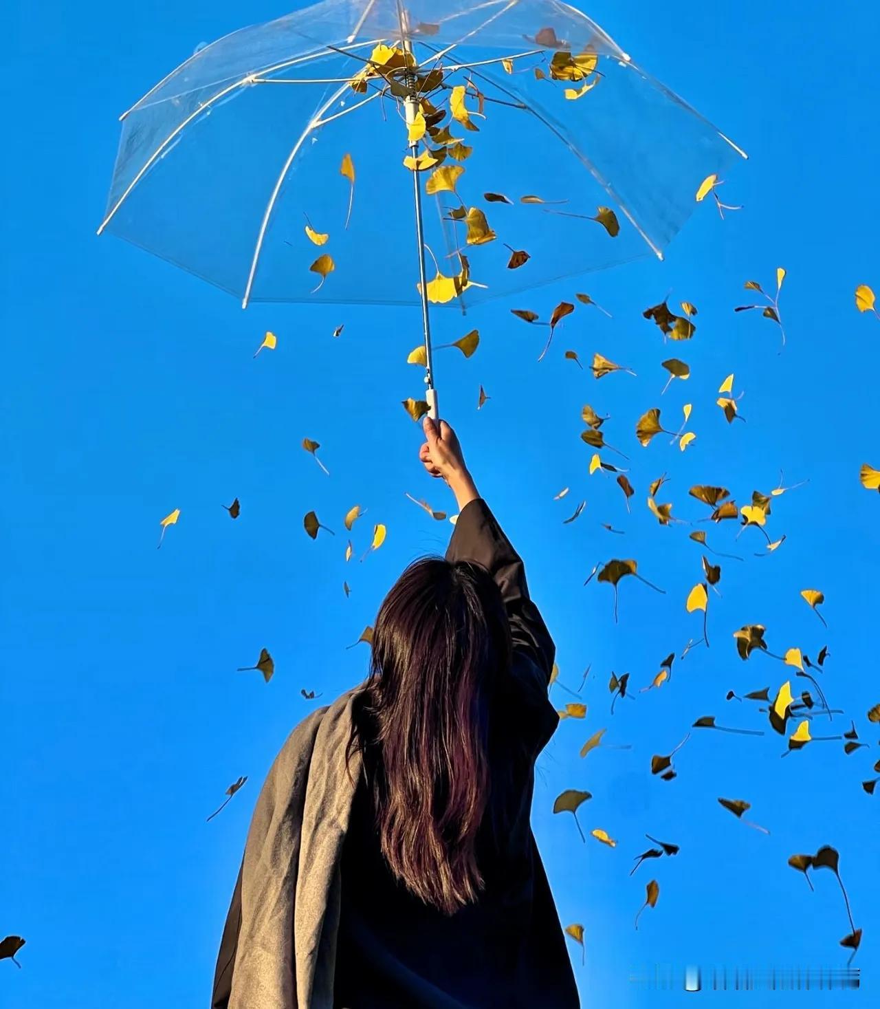 细思极恐！100万存款和100万房贷，居然是同一个“20年”的魔咒！手里