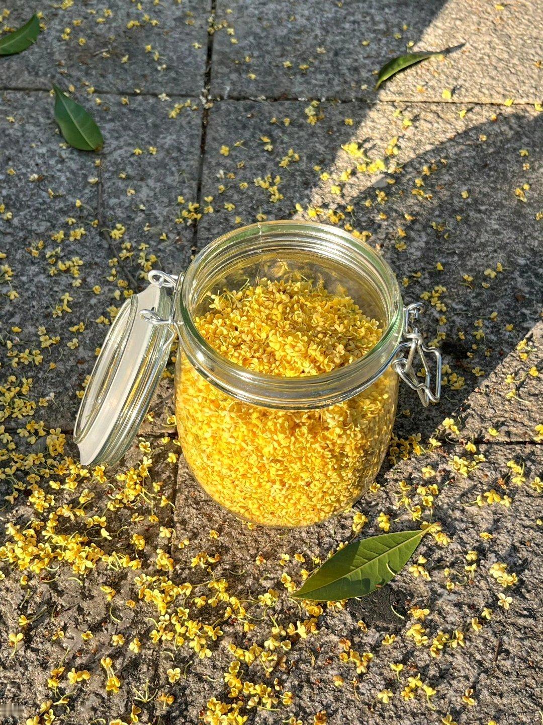 “桂花是秋天的第一场雪”