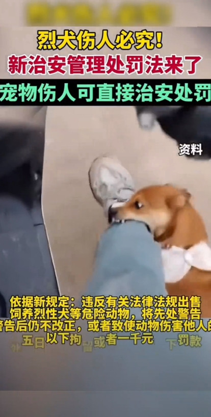 杭州养狗新规引热议，咬人狗或被没收捕杀