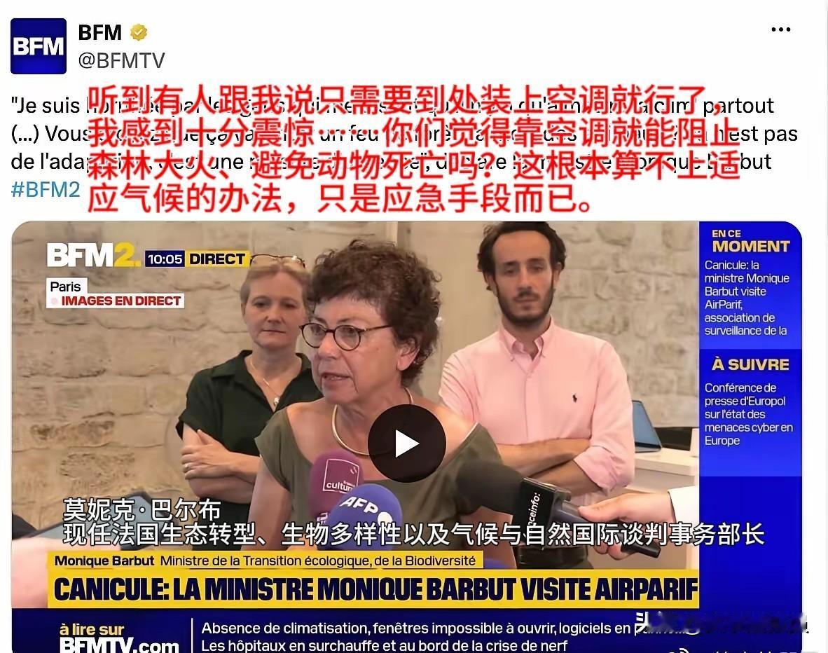 【这是什么逻辑】法国一女官员说：你们觉得装空调就能避免森林大火、动物死亡了吗？