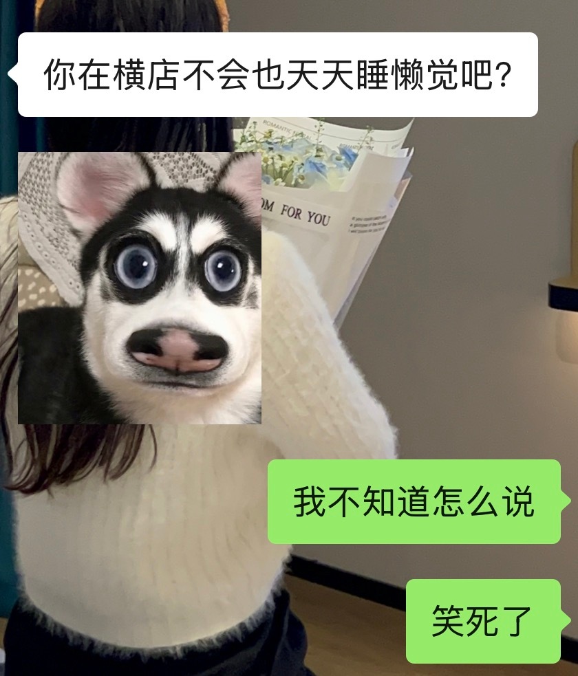 心肝不在横店就是这样