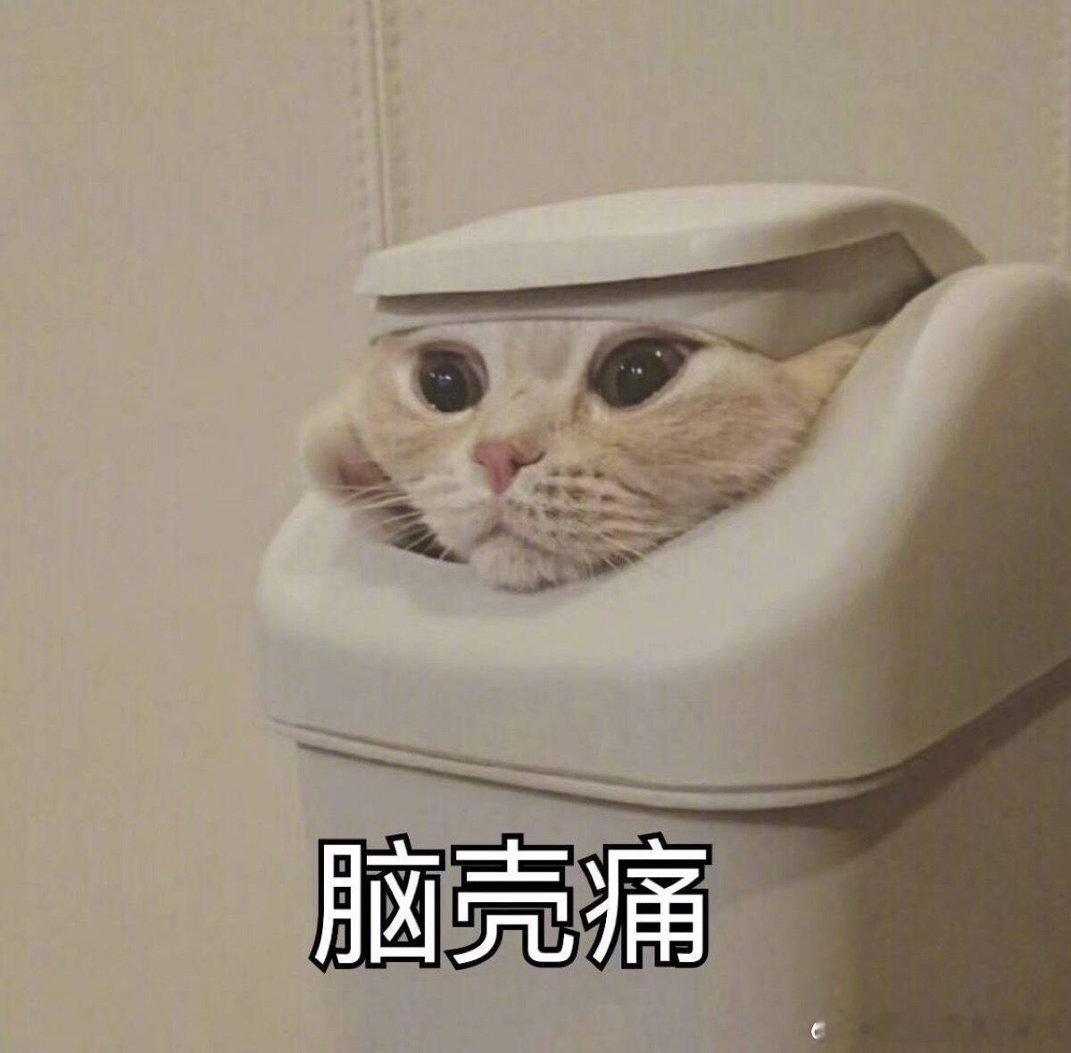 最难懂星座，入围的有：水瓶——你猜我在想什么？猜不到就对了天蝎——我在意，但我不