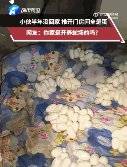 看着就让人头皮发麻！江西，一小伙出门打工半年，日思夜想终于回到家，推开门那一刻直
