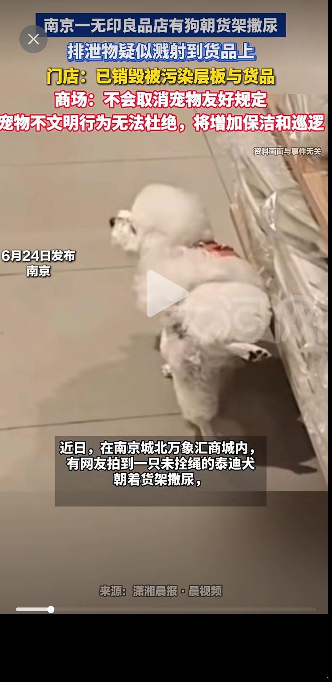 这商场是无法回头了吗，已经流失介意宠物的客户群体了，不能再把现有客户群体再得罪了