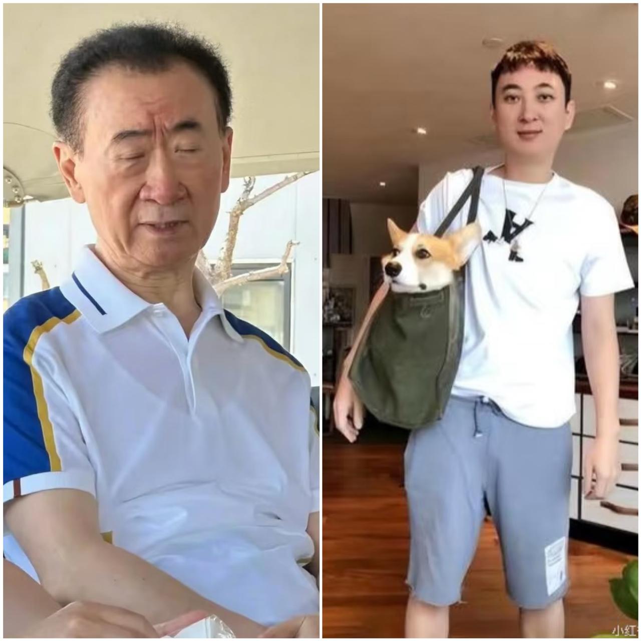 王健林夫妇估计后悔了！他们不是后悔生了王思聪，而是后悔当初有条件的时候，