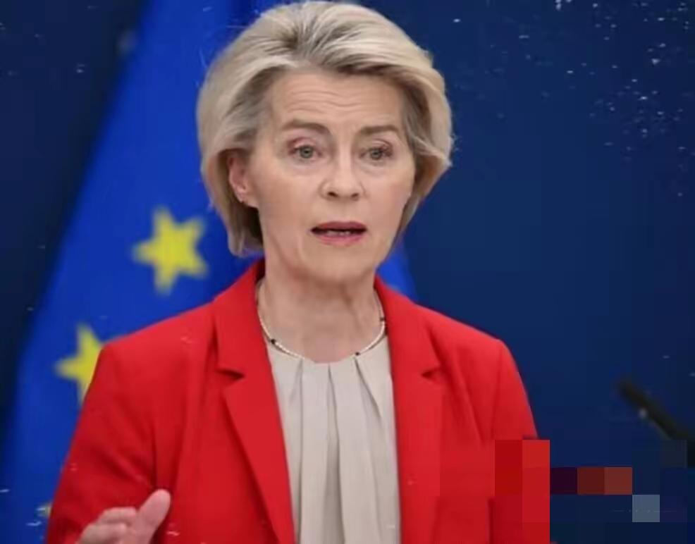 欧盟27国，集体“跪了”！欧盟这次，意见出奇地一致。二十七个国家，全都举手同意