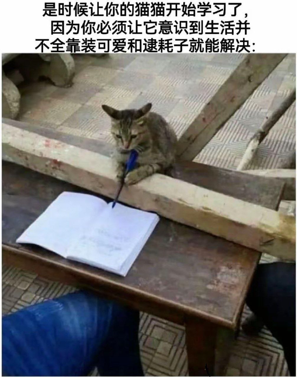 好的回去就学