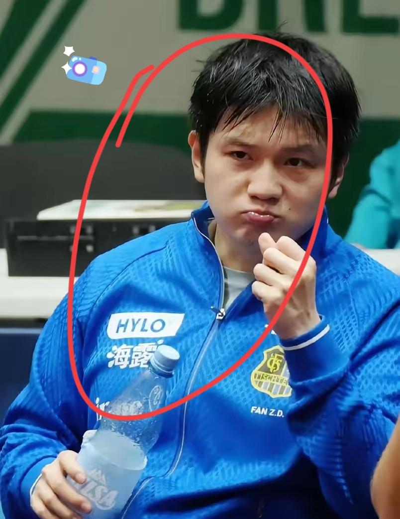 樊振东德甲又输了？不是他技术不行了，也不是压力太大，而是到欧洲打球，总会碰见