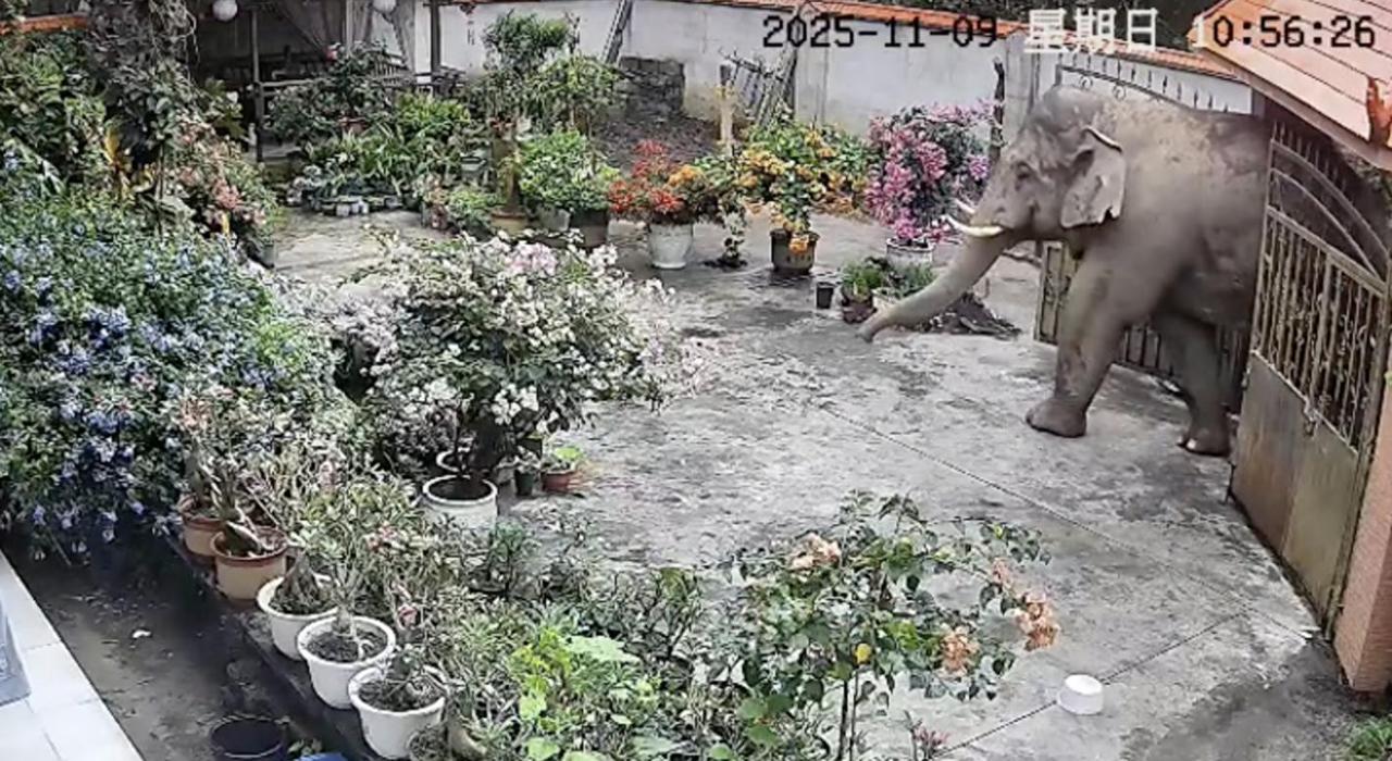 云南一女子外出办事，突然收到家里监控警报！她立马查看手机，发现自家铁门，竟然被一