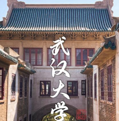 武大要丢985牌子？校友慌了校友群里讨论的那份评估结果，管理和育人两项