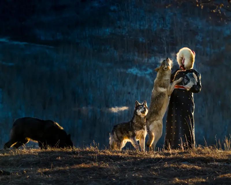 上联：山顶虎狼少，邀你对下联山下才狼多