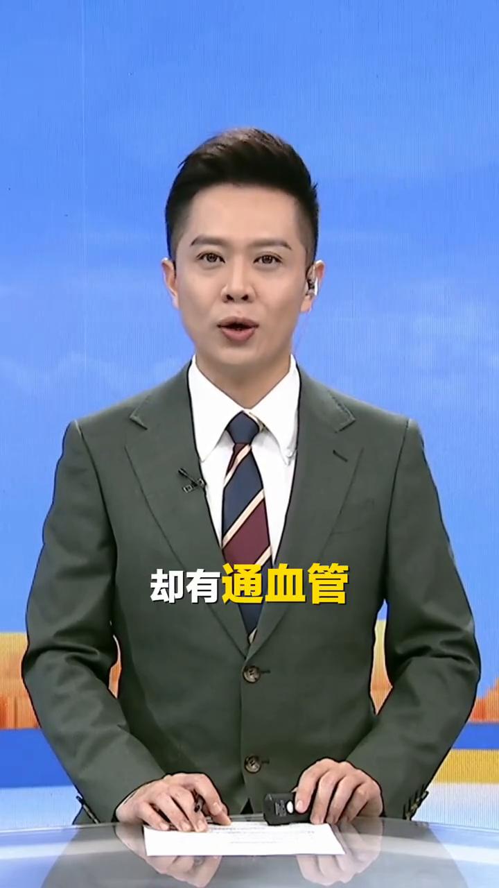 血管年轻了，血栓远离了！一个比走路简单的小动作，赶紧学起来！比走路还简单，却