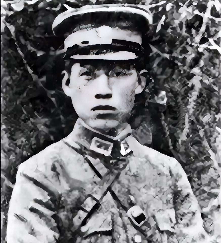 国军将领张岚峰率数千人投日后，弟弟张俊峰触怒日军，被绑在树上用刺刀挑死。张岚峰面