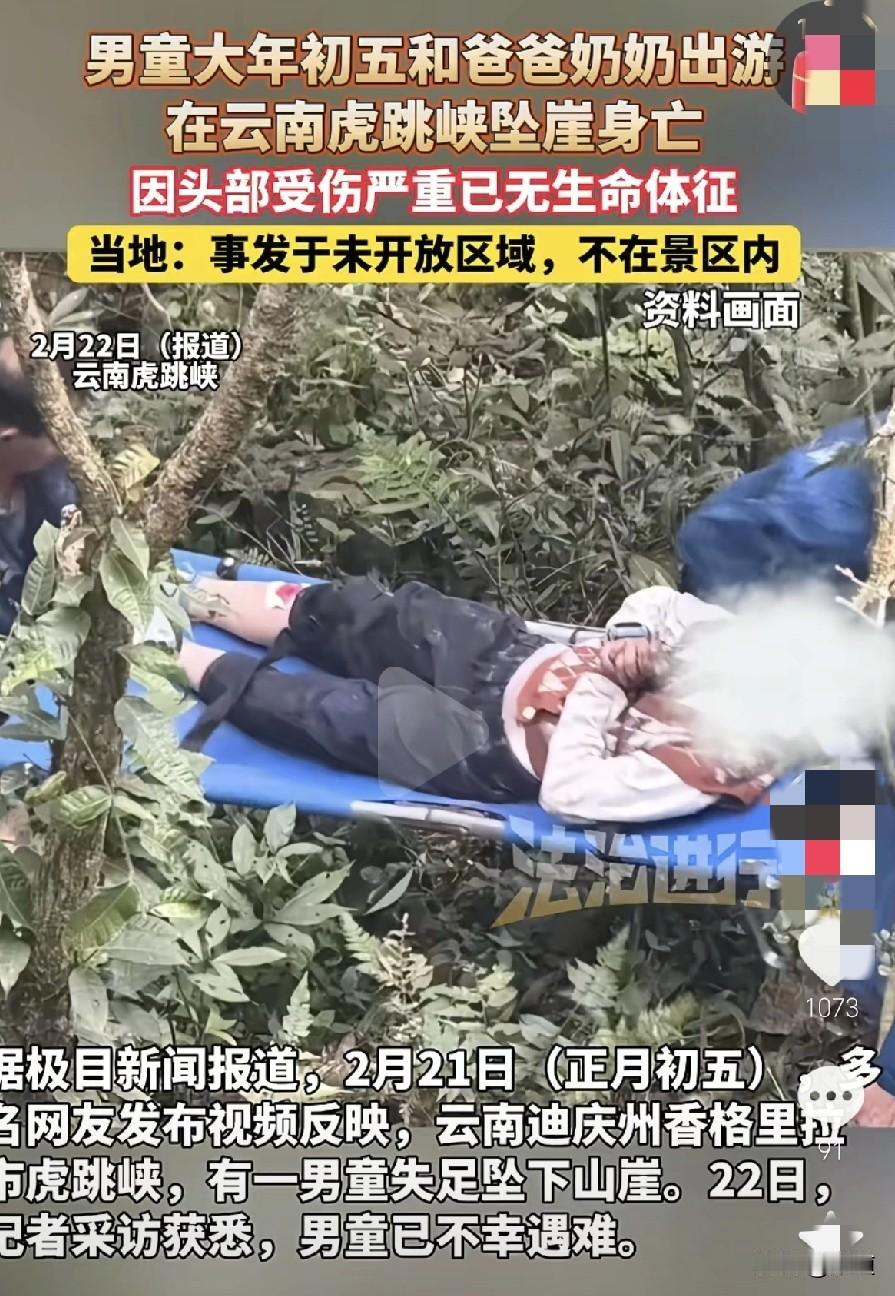 2月21日正月初五，男童和爸爸奶奶去云南虎跳峡游玩，不幸的是男童坠崖身亡。事已