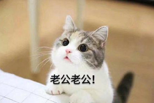 我老公啊，就是个只知道干饭的人。他就喜欢吃饭，还有床上那点事儿，别的啥追求都没有
