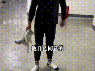 湖南，一名男生未经许可将流浪幼猫带回宿舍，被教官发现。教官要求男生把流浪猫扔出宿