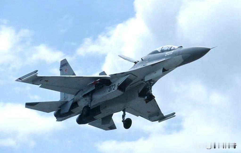 随着我国涡扇-10B发动机，以及涡扇-15发动机的技术成熟，我国装备的几十架苏-