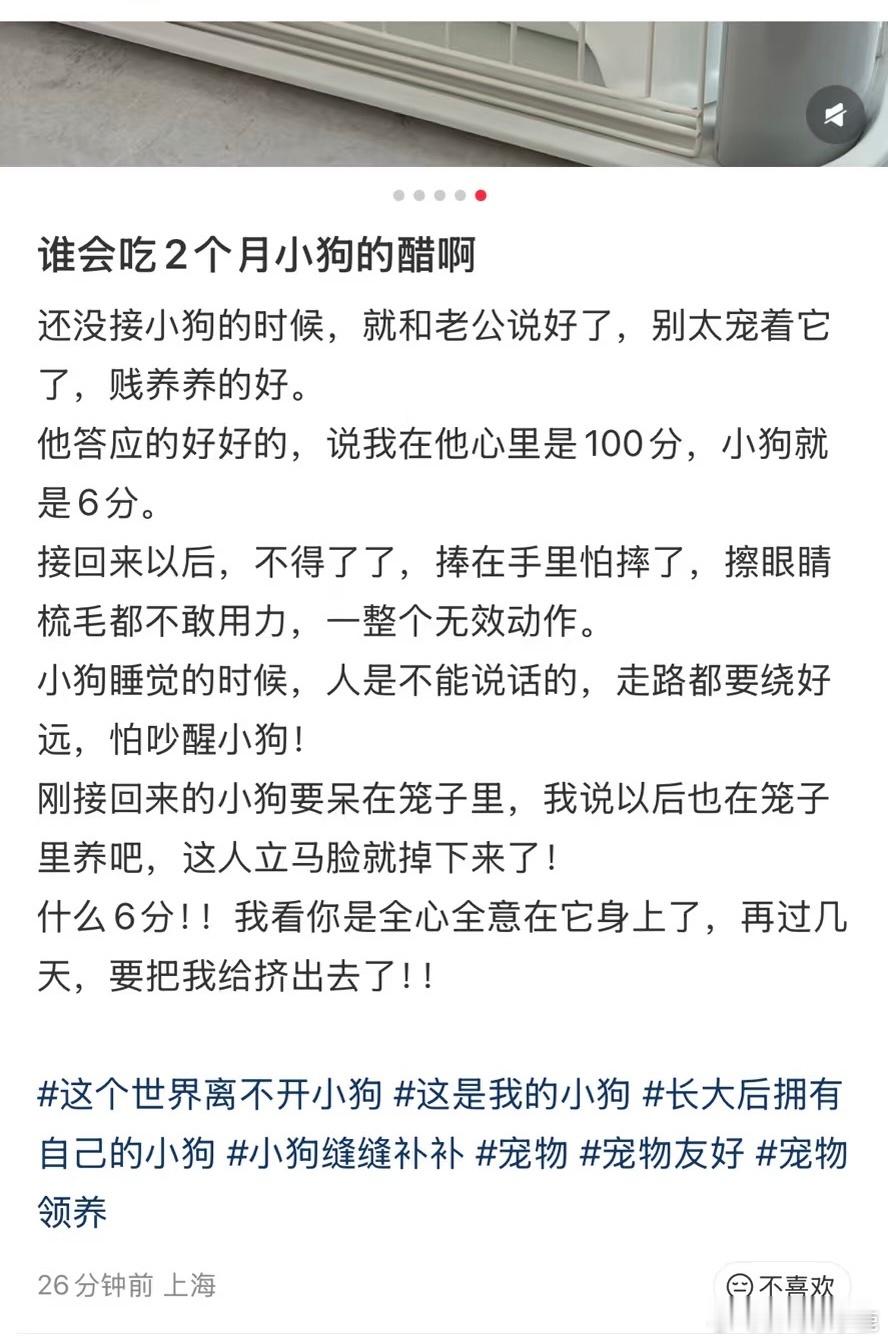 国产浪漫