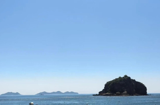 昨天晚上听说一个多前的朋友突然被公安带走了！后面听说是涉嫌组织卖淫罪，现在是刑事