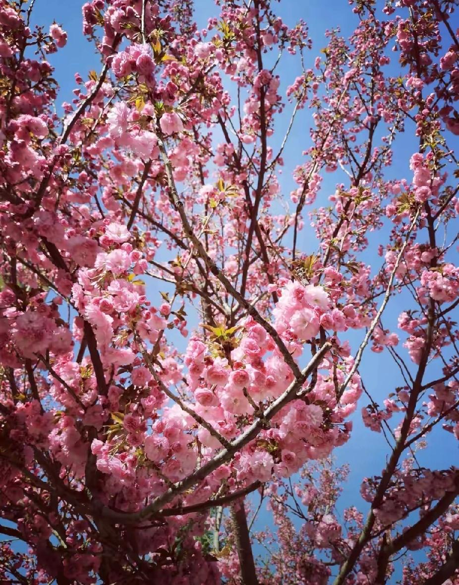 在农村有这么两个儿子，大家评一评，还需不需要再找对象？大儿子在外儿找着对象，自己