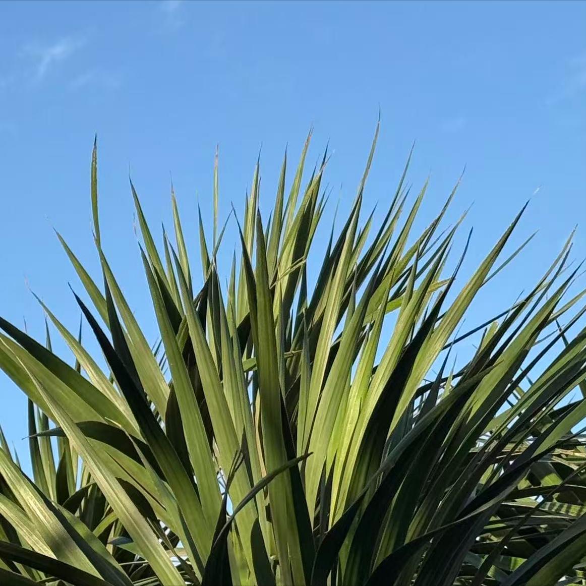 12月5日，一条关于信阳人大原官员的信息发布。 该信息是事关李高岭的。 