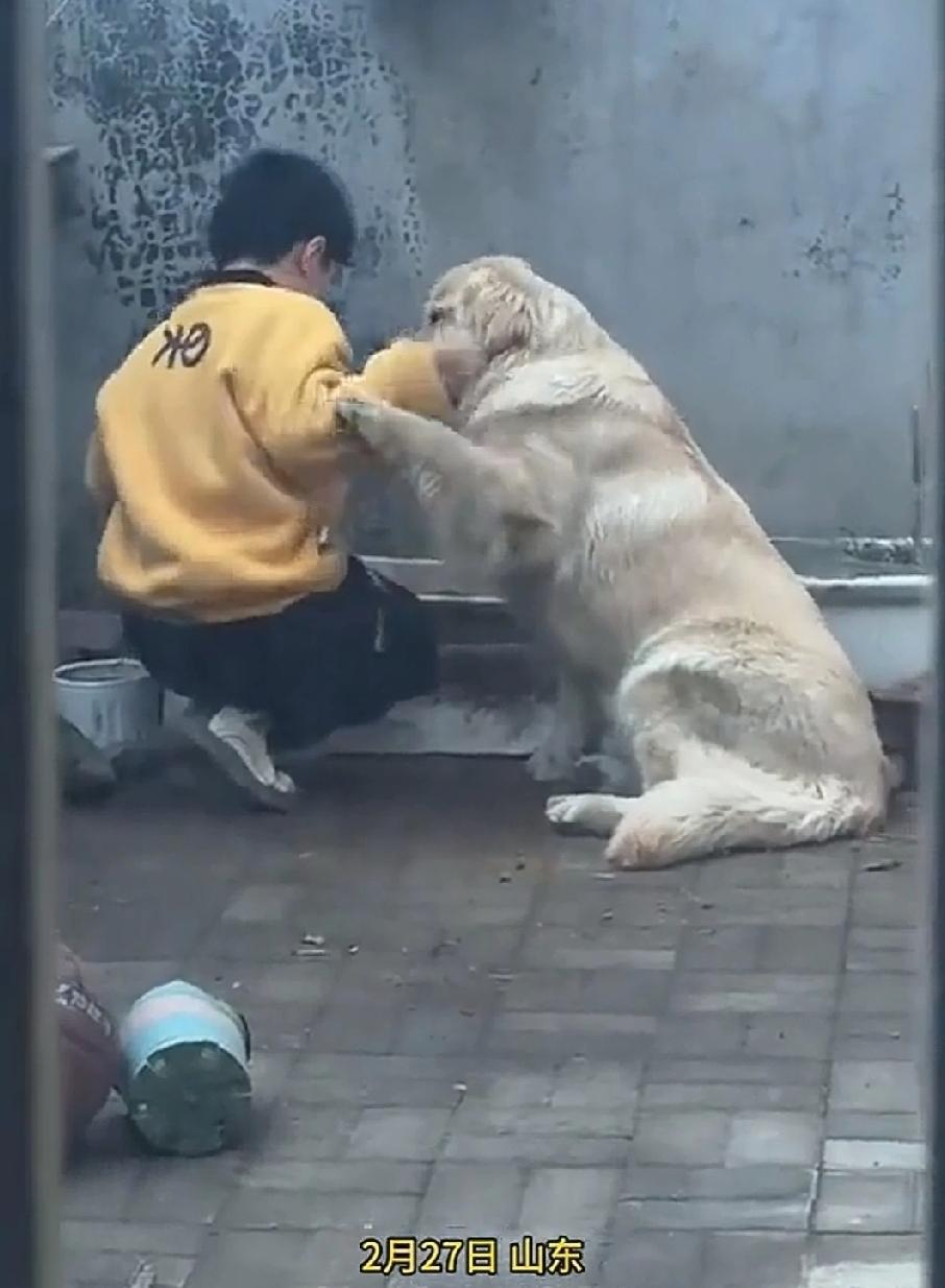 2月27日，山东。男孩在院子里种了一棵西葫芦，来给幼苗浇水。走近一看，傻眼了，只
