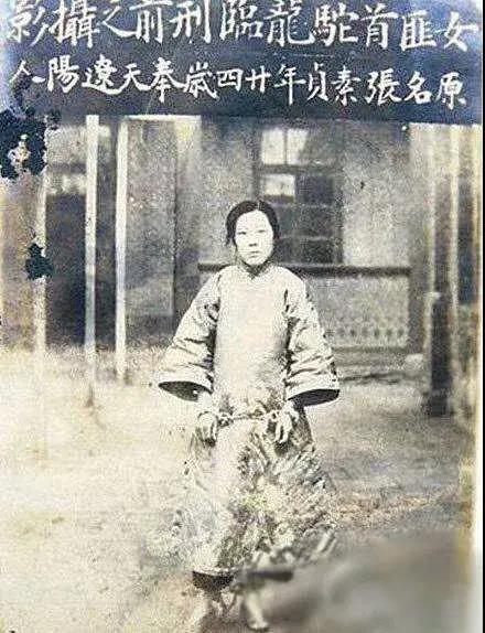 1920年代，驰骋于东北的女匪驼龙，原名张素贞，其实身世可怜。16岁被家里长工于